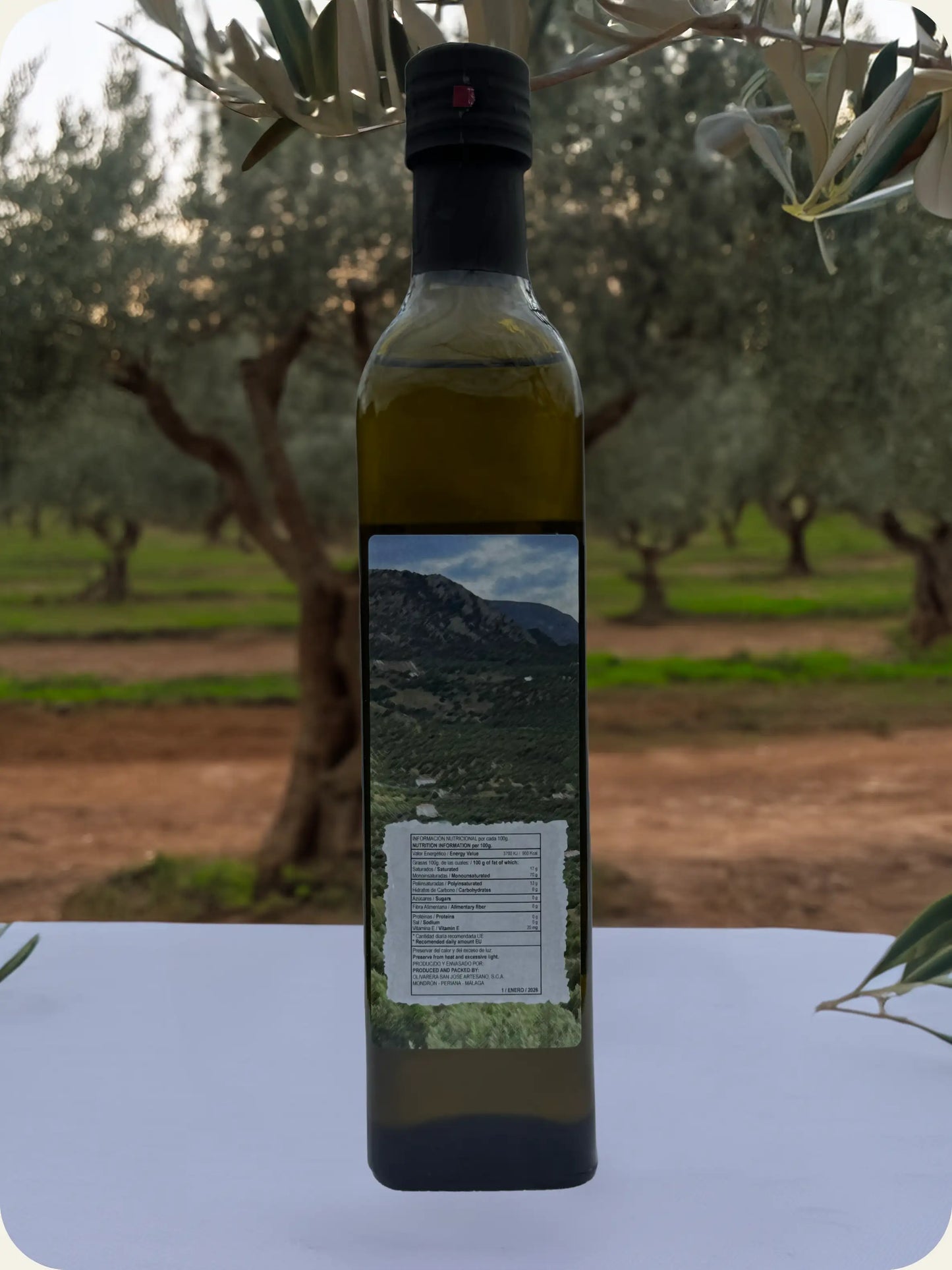 Orsprong Verdial de Vélez - 500 ML