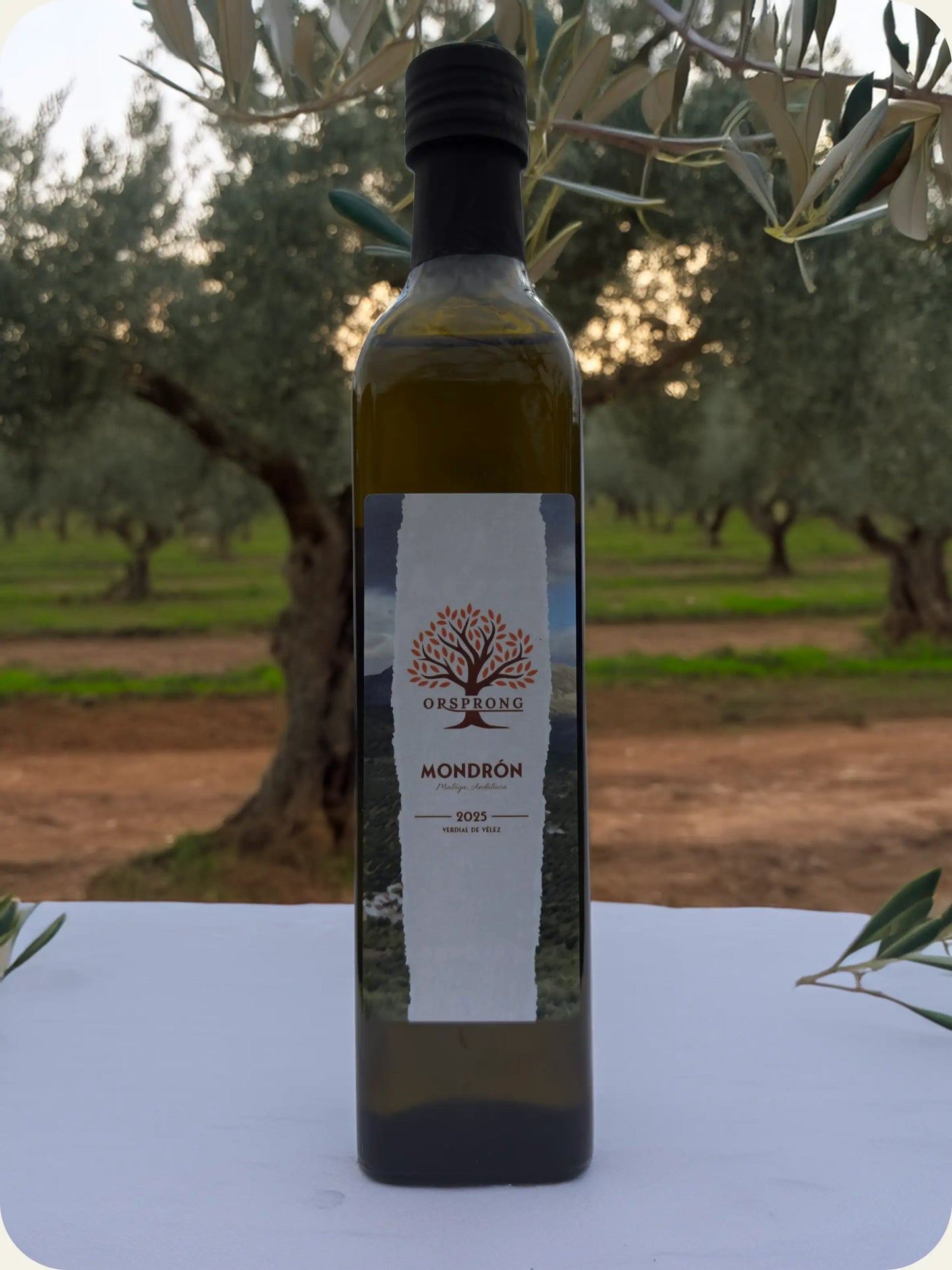 Orsprong Verdial de Vélez - 500 ML